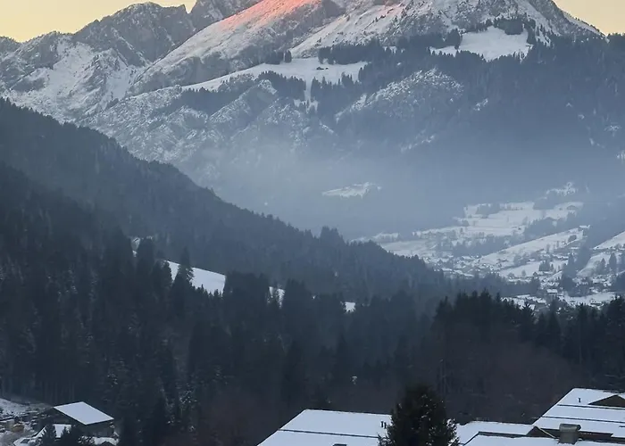 La Petite Chaumiere Des Neiges Daire